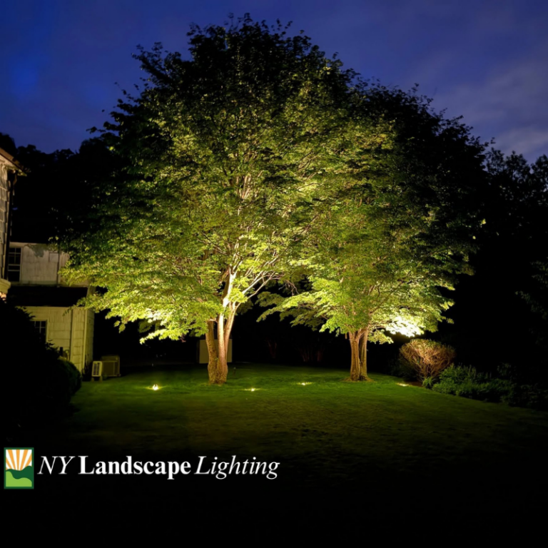 Two mature trees uplit with in-grade well lights in a back yard on Circle Avenue, Larchmont, NY