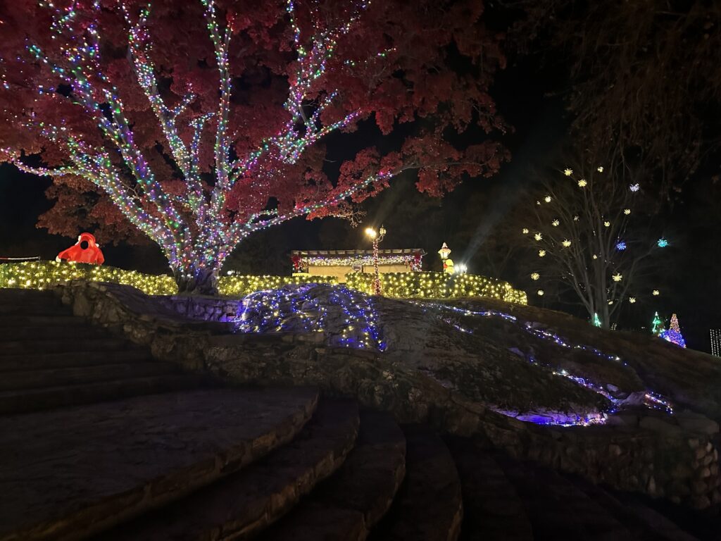 tree wrapping holiday lights new rochelle