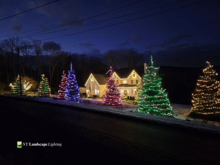 Outdoor Christmas Tree Lighting Installation in Westchester County, NY