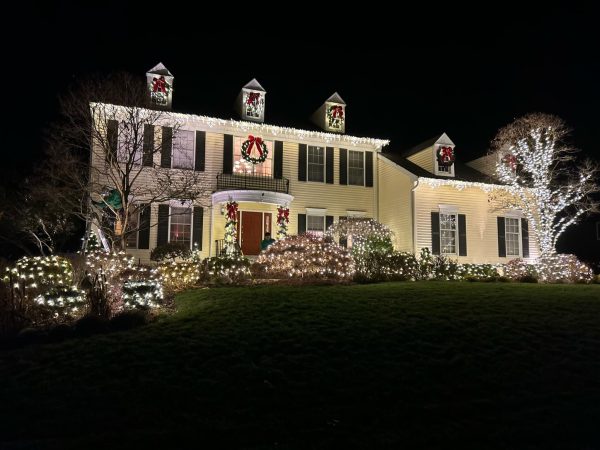 Christmas lighting featuring white roofline lights, illuminated trees, wreaths, and landscaped gardens.