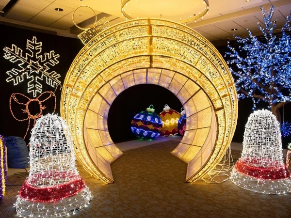 Colorful Christmas yard light display